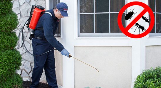 Çemişgezek Böcek İlaçlama böcek ilaçlama ve haşere kontrolü — ilaclama-tr.com